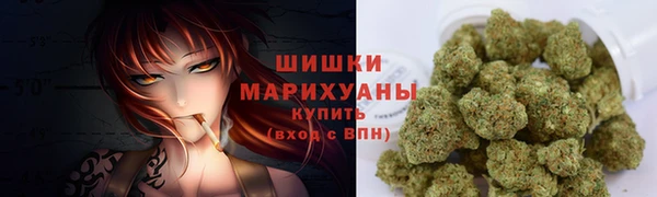 прущие грибы Липки