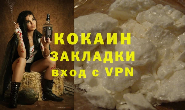 прущие грибы Липки