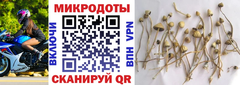 гидра как войти  Енисейск  Псилоцибиновые грибы Psilocybe 